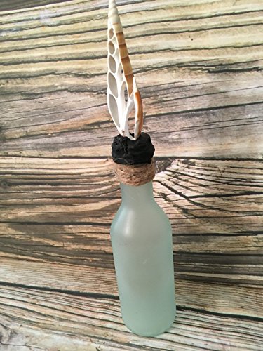 Coastal Charm Tropical Seashell Decorative Bottle for Beach-Inspired Home Décor - Image 4