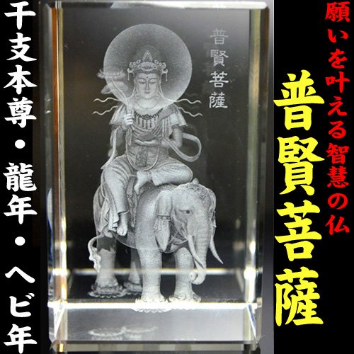 NO-37  NX^[U[u F(ӂڂj CijN/i݁EւсjN܂̎{ Ε