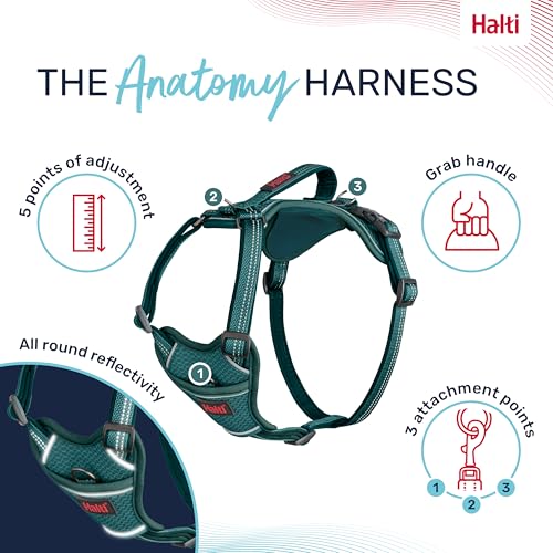 Image of Halti Anatomy Dog Harness with Handle | Size L, Teal | Padded, Adjustable & Reflective No Pull Dog Harness, 3 Leash Attachment Points including Front Clip, Suitable for Large Dogs