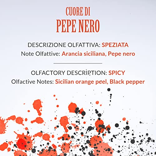 Difusor de Aceite Aromático 250ml Black Pepper miniatura 3