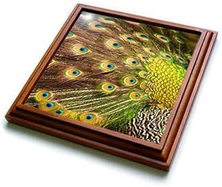 3dRose Mount Rushmore, South Dakota, Usa Trivet With Tile, 8