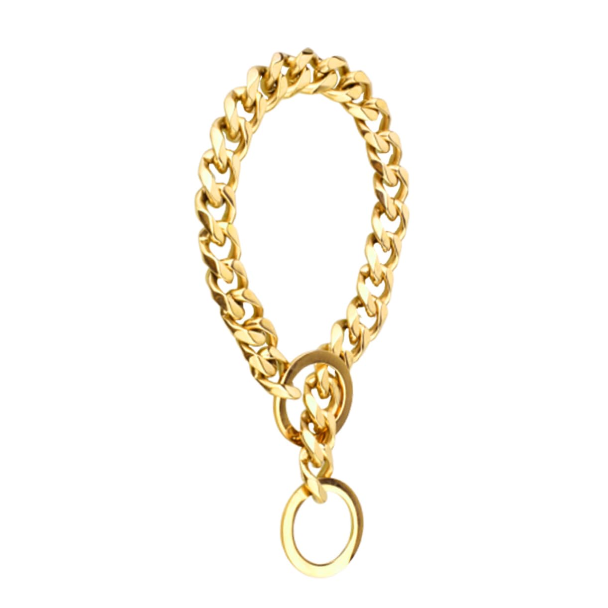 Amazon.com: Stainless Steel Dog Training Collar Chain Necklace