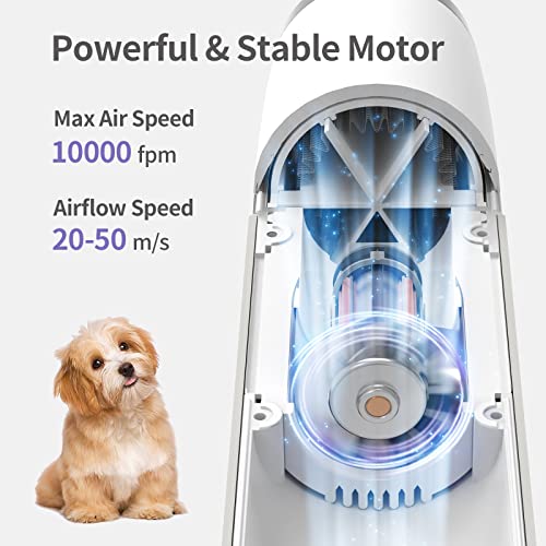 LIVEKEY Dog Dryer, Portable Professional Pet Dog Blow Dryer, High Velocity Pet Dog Dryer for Household Travel Camping… - Image 2