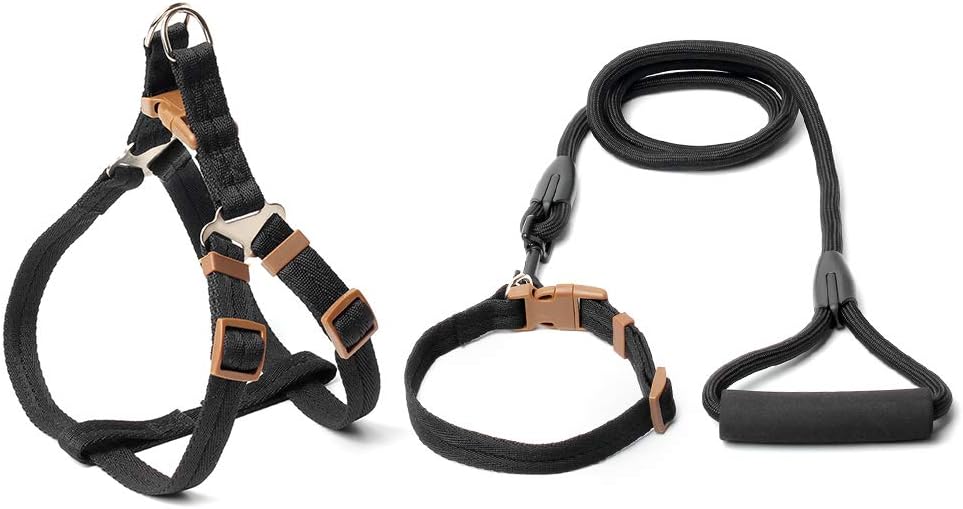 pettorina per cani lupi