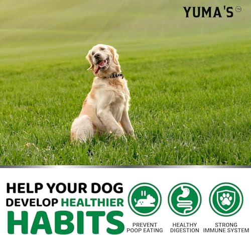 Image of YUMA'S No Poo Chews for Dogs - 170 Treats - Coprophagia & Stool Eating Deterrent for Dogs - Stop Eating Poop for Canine - Probiotics & Digestive Enzymes Supplement - Gut Health - Made in USA