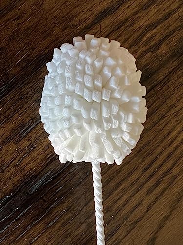 Florauspicious Whiskey Tasting Glass Brush - Also For Wine Glasses And Champagne Flutes, Ideal Champagne Flute Brush (Dark Hardwood) #TOP2