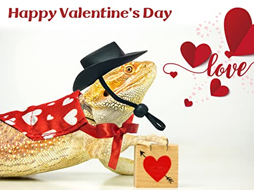 Vehomy 4pcs valentine's day bearded dragon outfit bearded dragon cowboy hat & lizard bandana small pet love heart scarf cowboy costume accessories for lizard hamster leopard gecko 4 Vehomy 4pcs valentine's day bearded dragon outfit bearded dragon cowboy hat & lizard bandana small pet love heart scarf cowboy costume accessories for lizard hamster leopard gecko - image 5