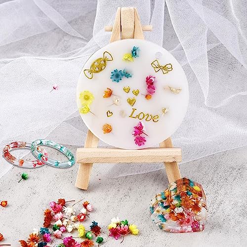Flores secas, 300 pcs multicolor para manualidades miniatura 6