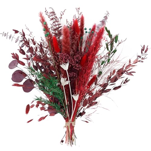 Burgundy Red Pampas Grass Dried Flower Bouquet17 Boho Arrangement Millet Flower & Eucalyptus Mixed Natural Dried BouqueWedding Centerpiece & Home Bedroom Decor