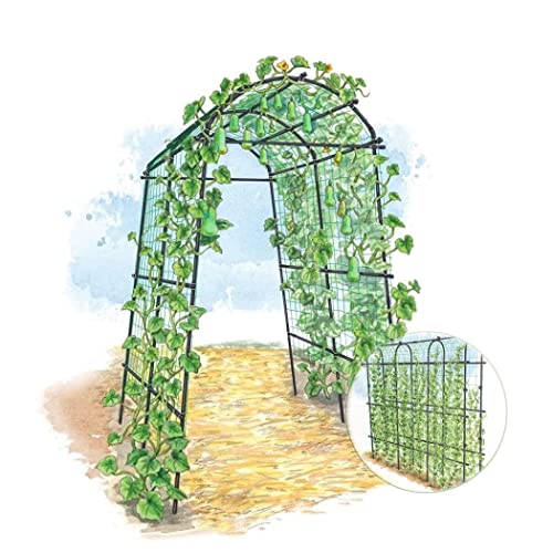 Enrejado de metal para jardín, marco para trepar plantas, soporte de arco para césped, jardín, túnel ligero de calabaza para plantas trepadoras, pepino, verduras, flores, vides, 270 x 210 cm