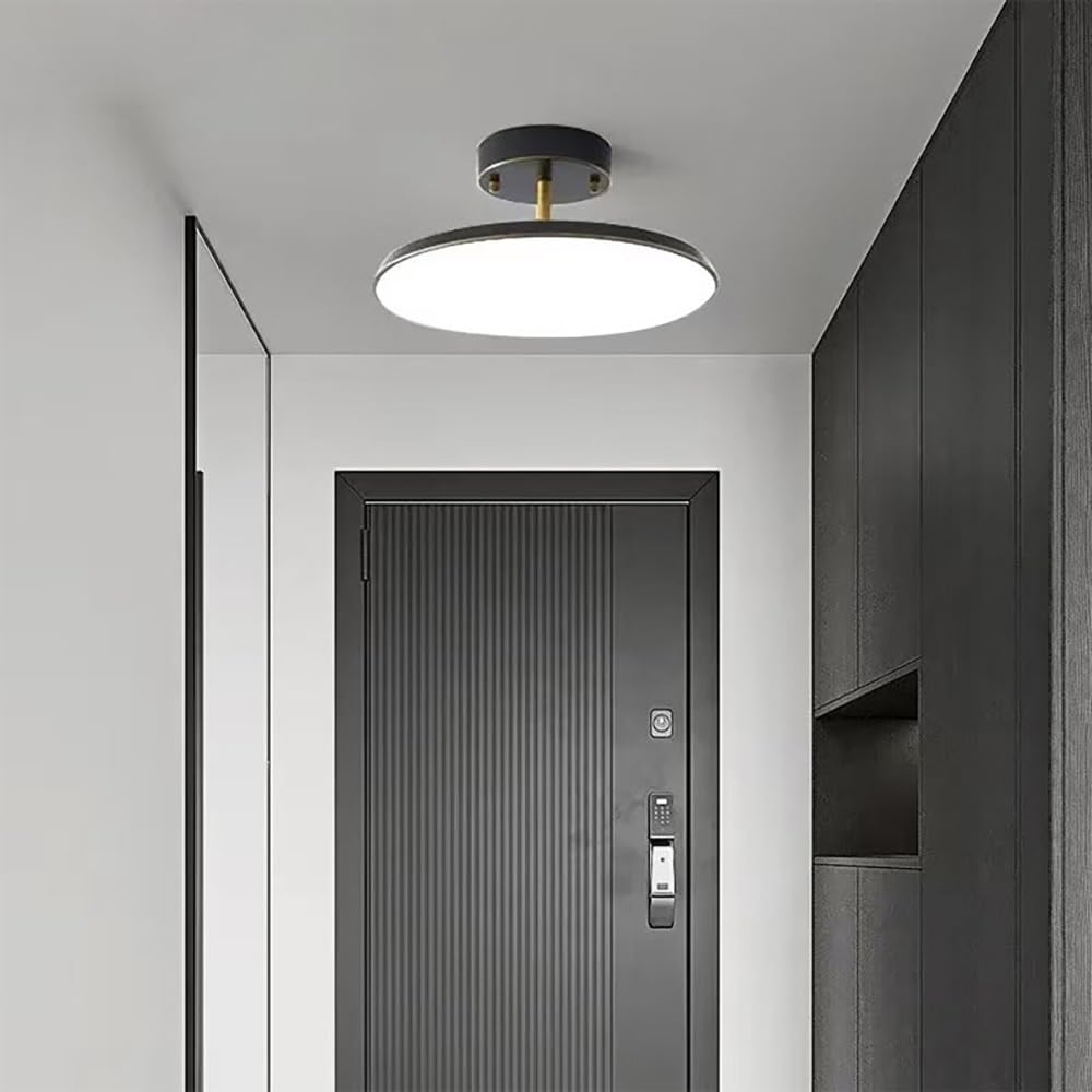 Nordycka Okrągła Lampy Sufitowa LED, Obracana Głowica Mała Lampy Sufitowe Niski Profil Minimalistyczne do Korytarza Przedpokoju(Black(6000K),20cm/7.87in)