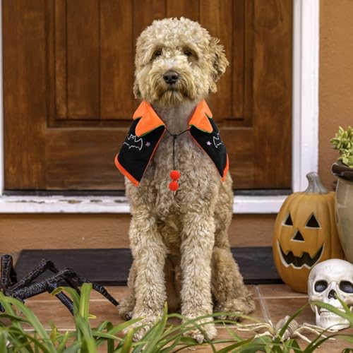 Capa para perro Halloween tamaño M Naranja miniatura 6