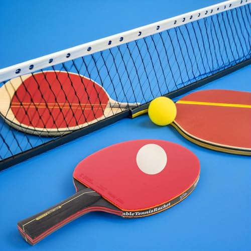 Raquette de tennis de table portable avec son kit complet de ping-pong