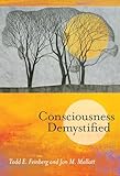 Consciousness Demystified