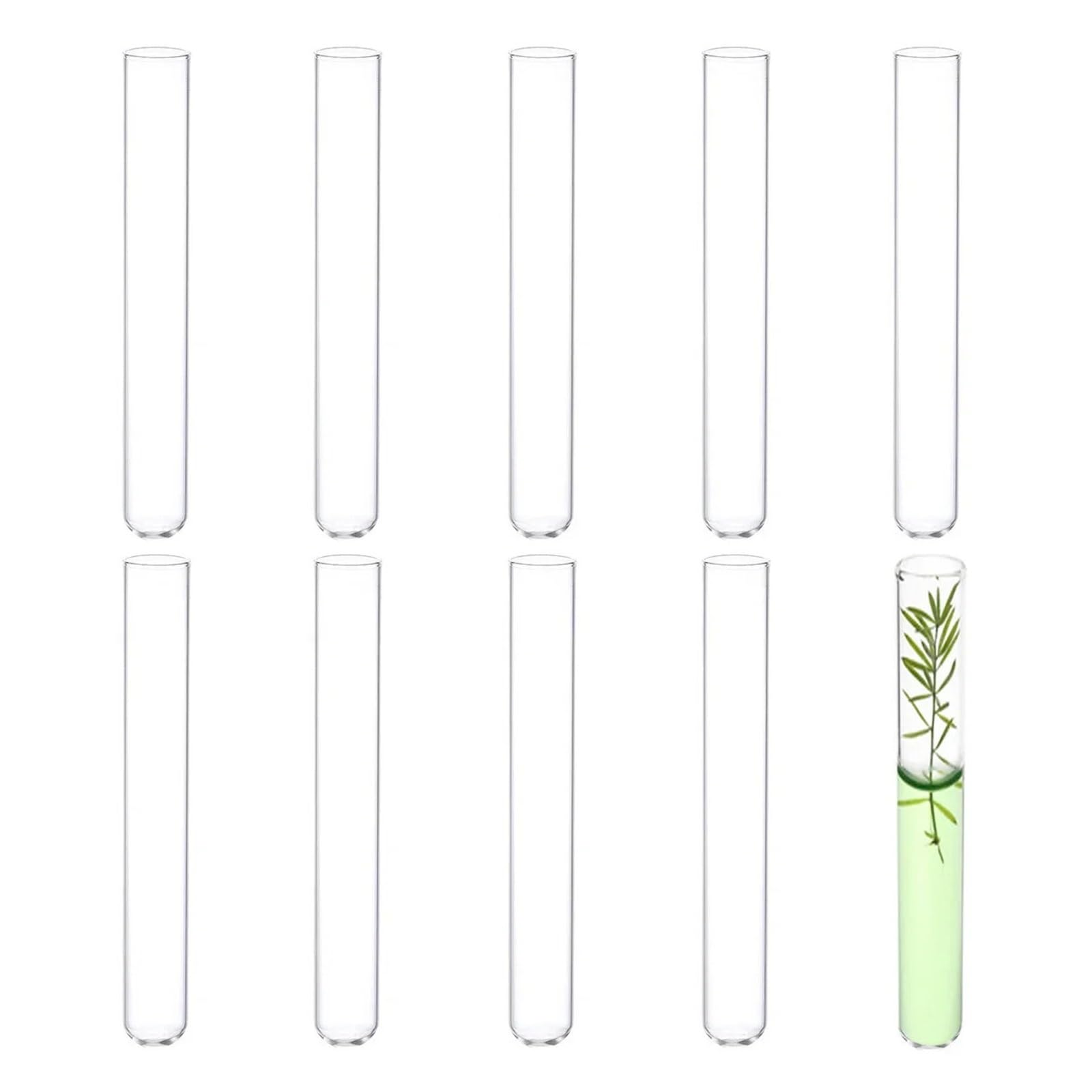 MENGKE 10P Glass Test Tube Borosilicate Clear Glass Test Tube Vase For Scientific Experiment Parties, Office Desktop Flower Decoration(30mmx200mm)