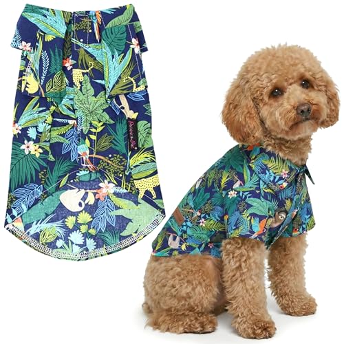 Parisian Pet ���j �A�}�]�j�A �V���c - ���̂��߂̗ΖL���ȃr�[�`�̕� - �R�b�g�� �ĕ� - �X�^�C���b�V���Ȗʃt�@�X�i�[�N���[�W���[ �R�X�`���[�� - ����@�� ��^���p�V���c - L