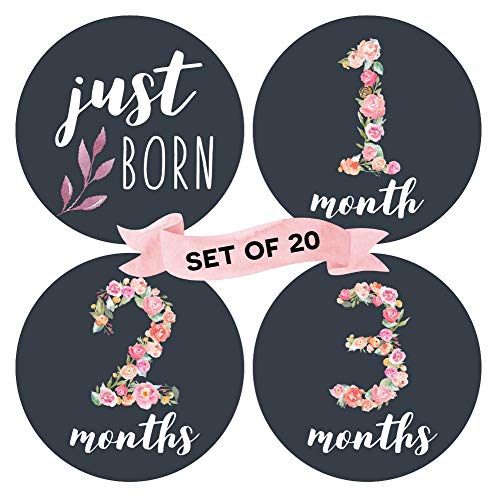 Peachly Floral Baby Monthly Milestone Stickers (Set of 20) - Birth to 12 Months + 7 Bonus Achievement Stickers