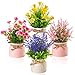 LEIMEND 4 Pezzi Fiori Artificiali Piantine Finte Decorative con Vasetto Fiori Finti Per Decorazioni Per Decorazioni Per la Casa la Scrivania L'ufficio Il Giardino E Il Patio immagine