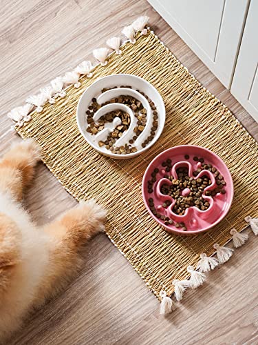 LE TAUCI Hundenapf aus Keramik, Antischlingnapf für Mittelgroße und Kleine Hunde, Langsam Fressen und Spaß für den Hund, Fressnapf mit Rutschfestem Design (Bloom Rosa, S-350 ml)