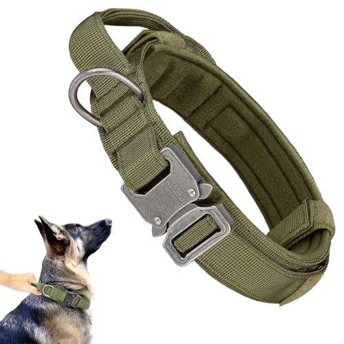 Collare Cane, Collare da Trazione per Esterni, Cane Medio, Collare Cane Taglia Media, Collare per Cani Spesso Regolabile, Pratica Fibbia in Lega di Zinco, Nylon, 42-54cm, Verde Militare.