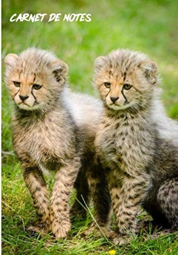 Carnet de Notes: Cahier de notes | Animaux sauvages | Safari Photos | Passionnés d'animaux | 120 pages avec lignes, 7 x 10 Pouces | Cadeau pour les passionnés d’animaux | Guépard |