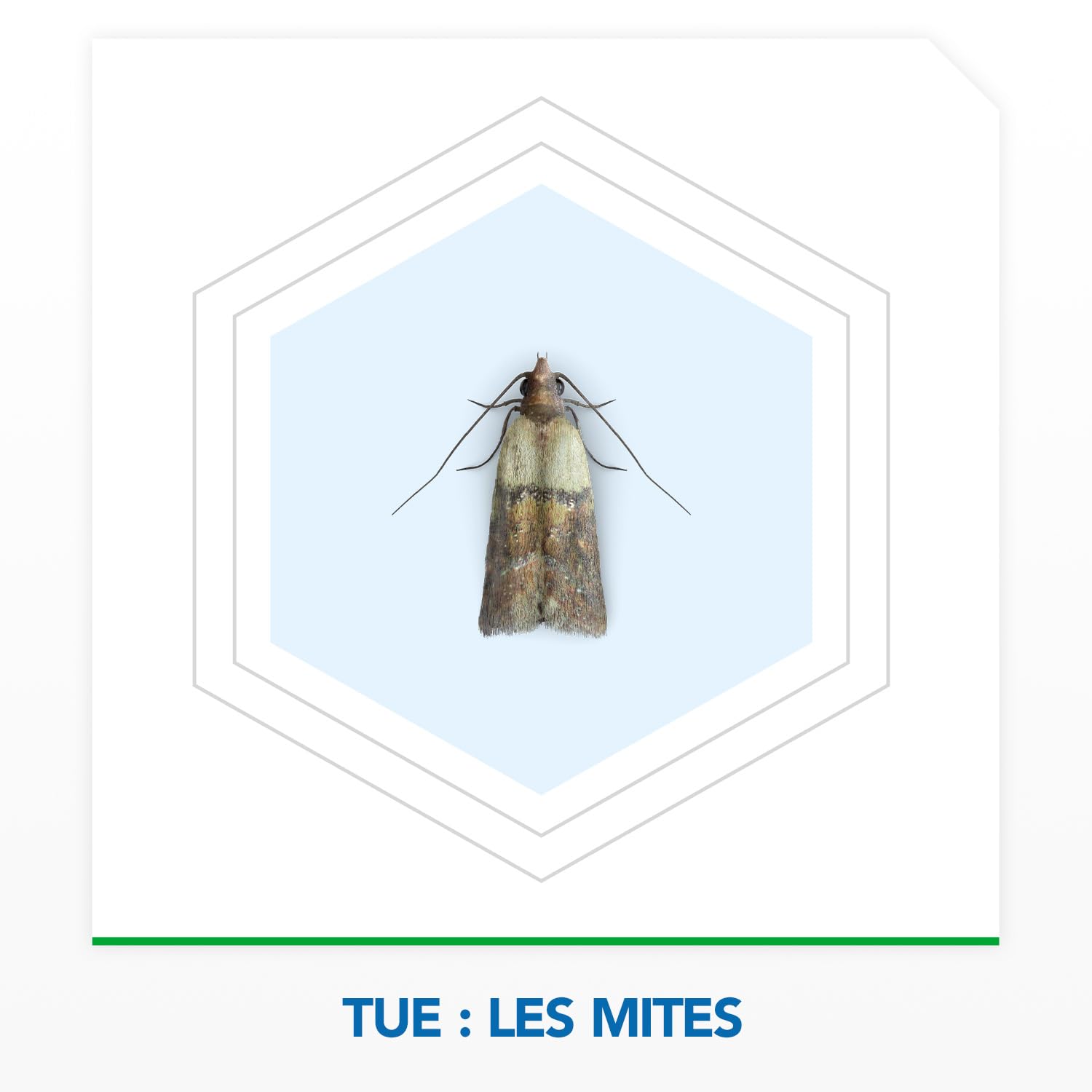 Raid Max Gels Anti-Mites Parfum Bois De Cèdre Protège Vêtements 3 Mois Woolmark 2 Gels