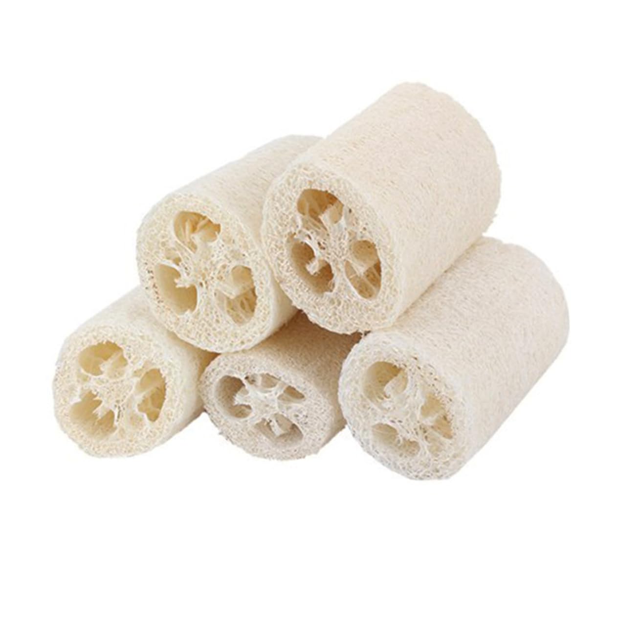 Housoutil 10piezas Esponjas De Ducha Natural De Luffa De Exfoliantes Para Cuerpo Para Baño y Limpieza Del