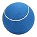 Yuecoom Tennis Ball, Rubber Tennis Ball,Inflatable Tennis Ball,8inches Large SignatureTennis Ball with Net for Playing,High Elasticity,Blue