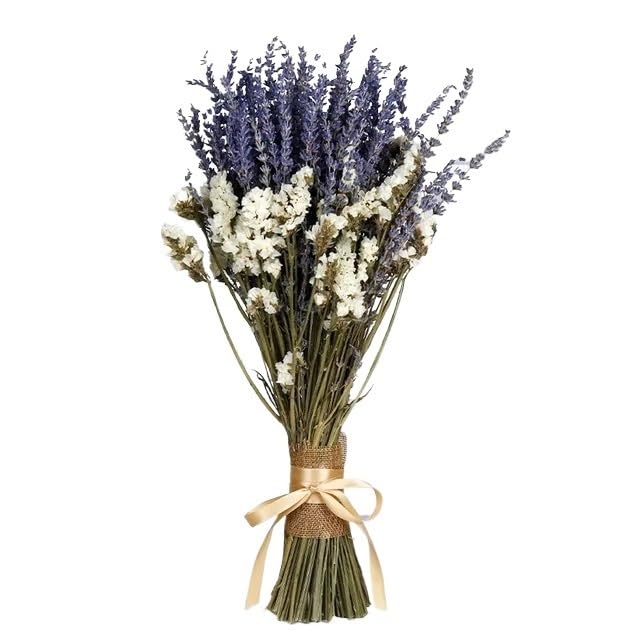 Pampas Grass Boho Decor flores secas decorativas miniatura 1