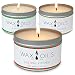 Wax and Oils Soy Wax Aromatherapy Scented Candles (Holiday Kitchen, Evergreen, Egg Nog) 8 Ounces. 3 Pack