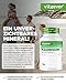 vit4ever Magnesium Malat - 365 Kapseln - 2000 mg davon 300 mg elementares Magnesium je Tagesportion - 4 Monatsvorrat - Hochdosiertes Magnesiummalat - Ohne Zusätze - Vegan