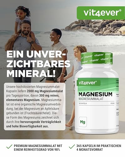 vit4ever Magnesium Malat - 365 Kapseln - 2000 mg davon 300 mg elementares Magnesium je Tagesportion - 4 Monatsvorrat - Hochdosiertes Magnesiummalat - Ohne Zusätze - Vegan
