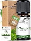 rooted.® BIO Pfefferminzöl [100% NATURREIN]