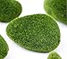 Erioctry 6 Pieces Assorted Sized Artificial Green Moss Green Rock Moss Ball Decorative Faux Stones for Fairy Gardens Terrariums Micro Landscape Decor and DIY Crafting