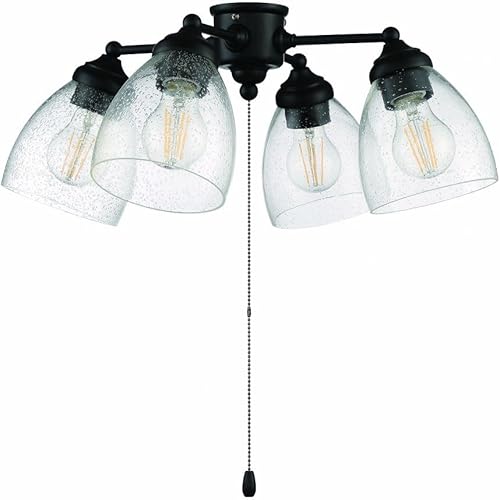 Craftmade Lighting LK401105-FB-LED - Kit de 4 luces LED universales de 20.24 pulgadas, 28 W, acabado negro plano con vidrio sembrado transparente