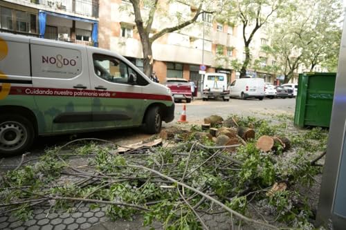 Sevilla Informa 9 de abril de 2026