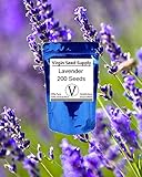 Virgin Seed Supply Lavender 200 Count Flower Seed Pack Organic Non-GMO Heirloom Variety