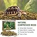 KKX Natural peat Moss Reptile Moss, Reptile Moss, Ideal Reptile Moss for Box Turtles, Hermit Crabs, Leopard Geckos, Snakes and enclosures 7 OZ