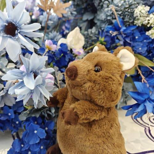 FRANKIEZHOU Realistic Quokka Stuffed Animal- Brown11.8,Soft Kawaii Plush Toy for Kids,Girl Toys,Gifts for Kids,Home Decor,Hugging Toy by FRANKIEZHOU - Used condition - Image 3