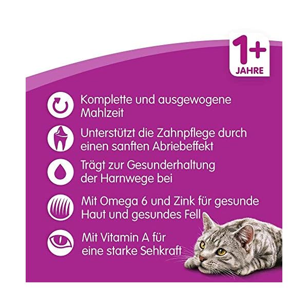 Whiskas Katzenfutter Trockenfutter, verschiedene Sorten und Größen – Bild 3