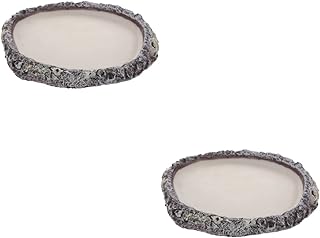 Ipetboom 2 Pçs Lagarto Bacia De Água Lagarto Acessórios Lagarto Terrário Répteis Tigelas De Alimentação Para Animais De Estimação Alimentador De Réptil Estátua Alimentador De Réptil