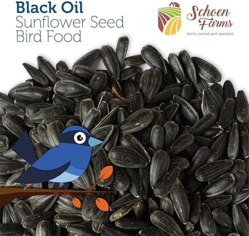 Schoen Farms Black Oil Sunflower Seeds – 2.27 kg Bag – Wild Bird Food for Chickadees, Cardinals, Jays & Finches – Grown in Canada — view 3