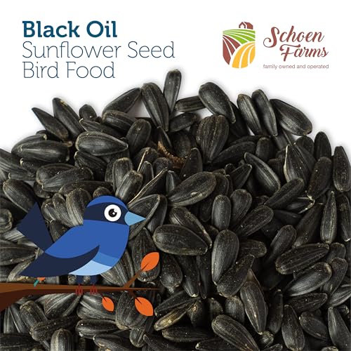 Schoen Farms Black Oil Sunflower Seeds – 2.27 kg Bag – Wild Bird Food for Chickadees, Cardinals, Jays & Finches – Grown in Canada - Image 5