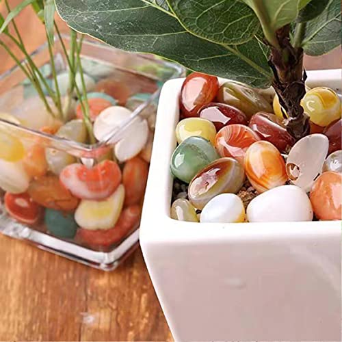 Image of 200 Pcs Mixed Agate Stone Tumbled Stones, Natural Bulk Assorted Tumbled Polished Stones Healing Crystal Set, Succulents Bedding, Vase Filler, Landscape Bottom Decoration - Stone Size About 10MM-15 MM