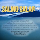 Premium Lachsöl für Hunde & Pferde| Omega 3-6-9 | Atlantischer Lachs aus Norwegen | 1 Liter | Sanct Bernhard tierlieb