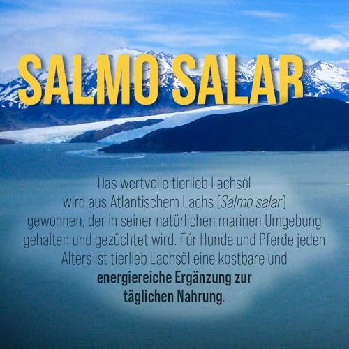 Premium Lachsöl für Hunde & Pferde| Omega 3-6-9 | Atlantischer Lachs aus Norwegen | 1 Liter | Sanct Bernhard tierlieb