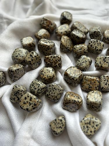 Image of Tumbled Stones, Natural Crystal Healing Stones, Home Office Decor, Aquarium Decorative Pebbles, Vase Fillers (Dalmation Jasper, 100)