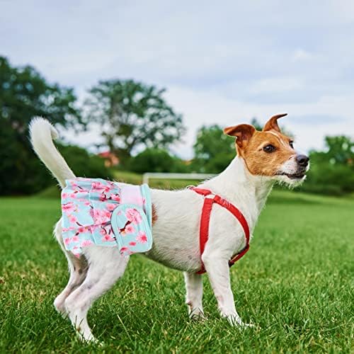 3 Pcs Reusable Dog Diapers, Pet Dog Diaper Dresses, Super Absorbent Pet Sanitary Underwear, Suitable for Female Pet Incontinence, Menstruation, Long-term Travel, 11.5-15 Inches (S)