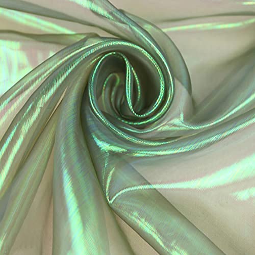 moonfarm 選べる11色 オーロラ オーガンジー 生地 1m×150cm 手芸 カラー 透明 無地 布 ダークグリーン