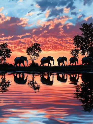 Peinture numéro adulte éléphant kit complet peinture numérique